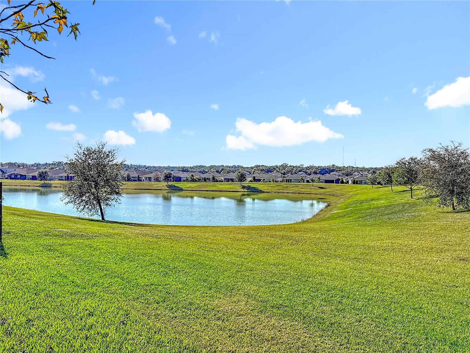 Image 50 of 58 For 512 Adenmore Terrace