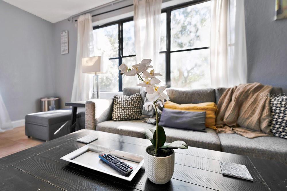 Image 15 of 33 For 311 Ashley Street 301