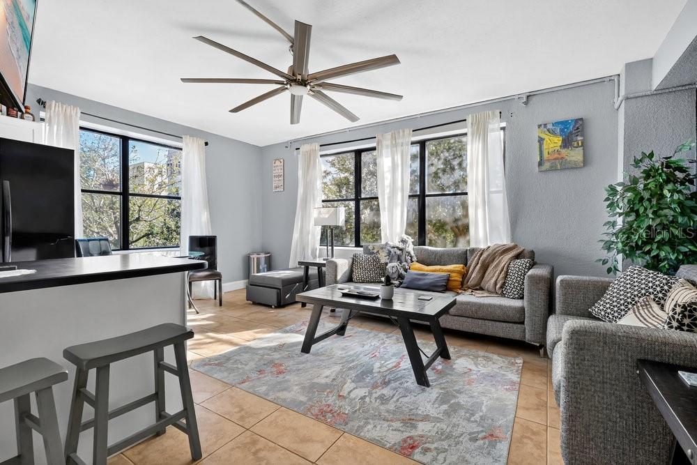 Image 3 of 33 For 311 Ashley Street 301