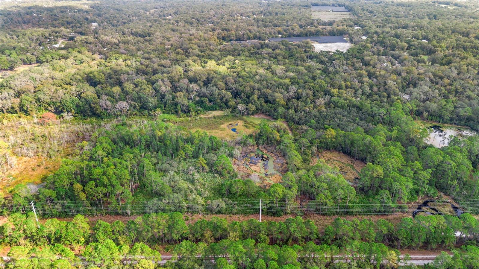 Image 15 of 17 For  King Street 