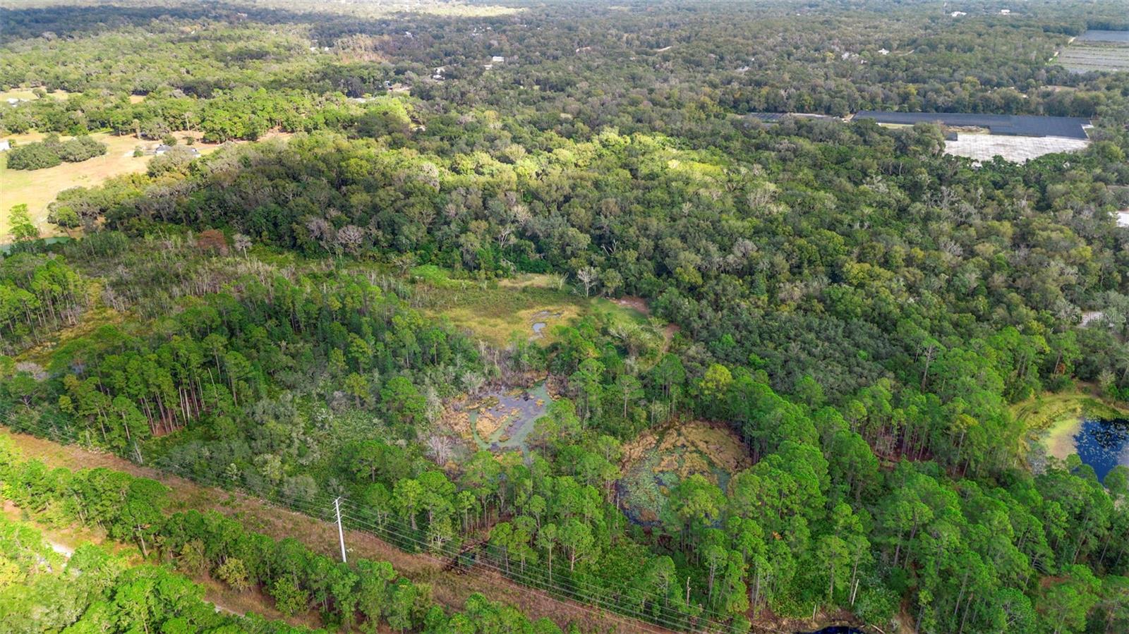 Image 16 of 17 For  King Street 