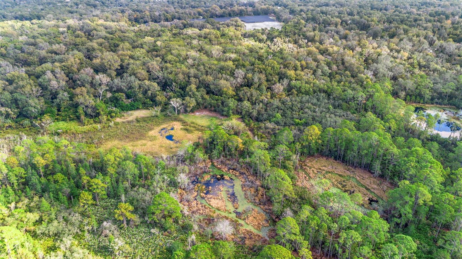 Image 17 of 17 For  King Street 