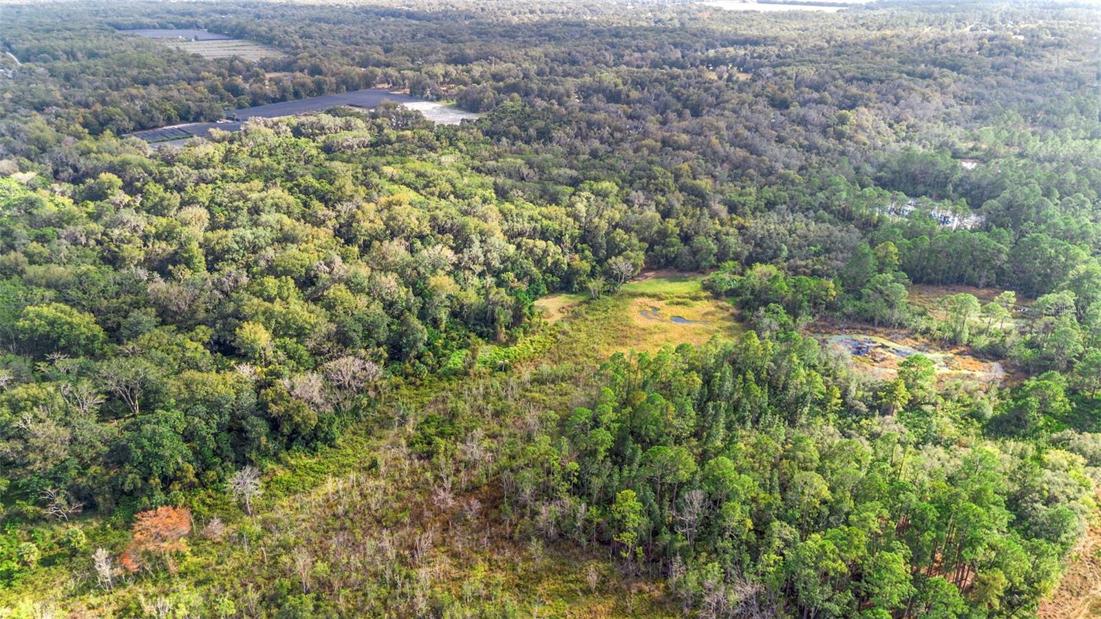 Image 4 of 17 For  King Street 