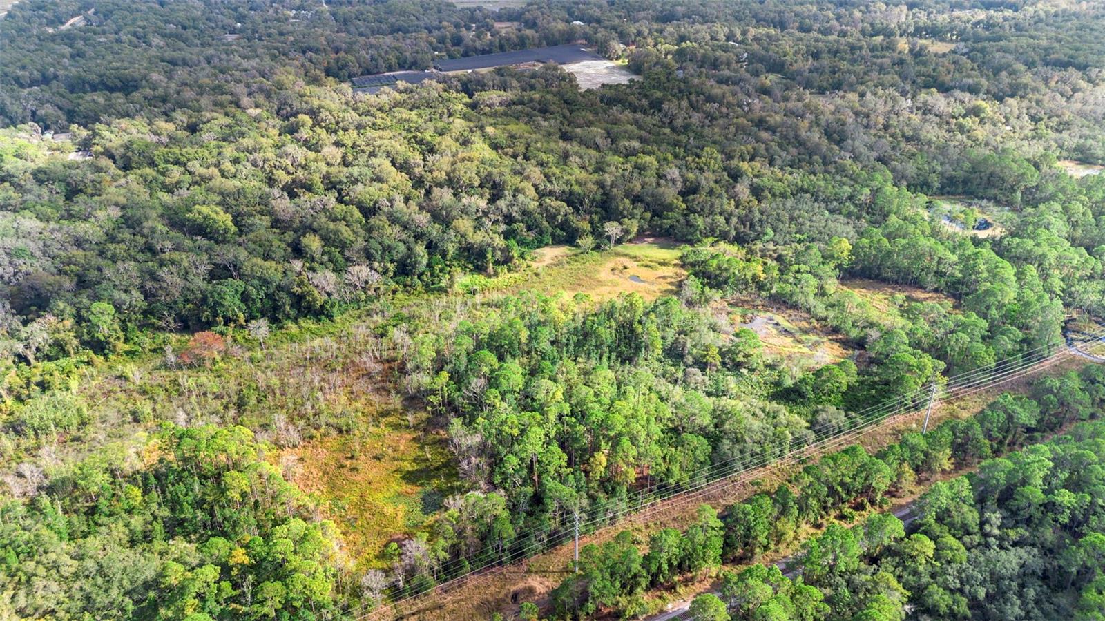 Image 5 of 17 For  King Street 