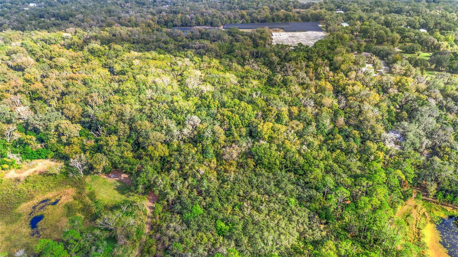 Image 6 of 17 For  King Street 