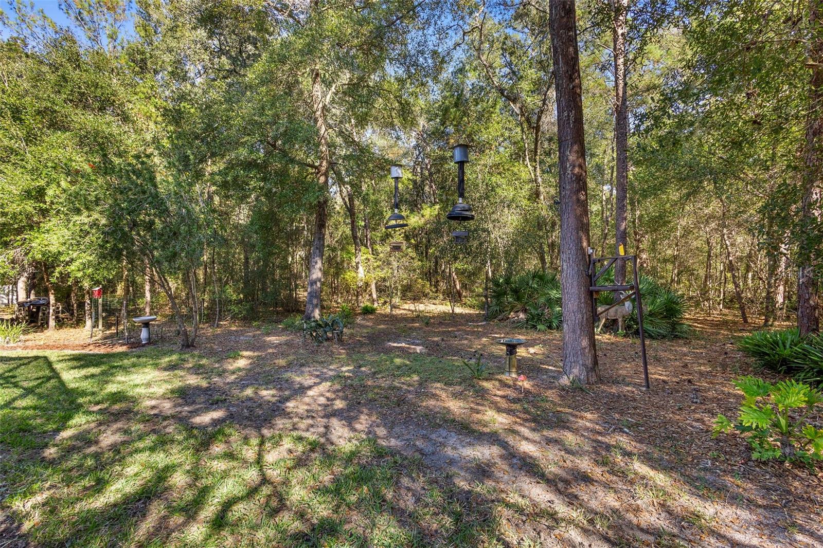 Image 43 of 48 For 3517 Tyngsbourgh Drive