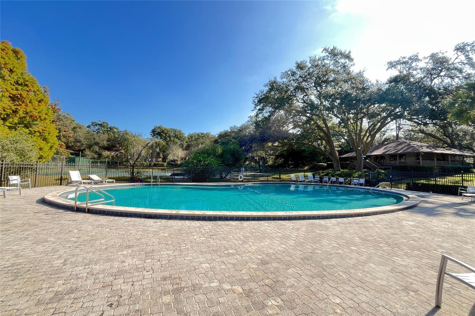 Image 36 of 47 For 431 Secluded Oaks Trail