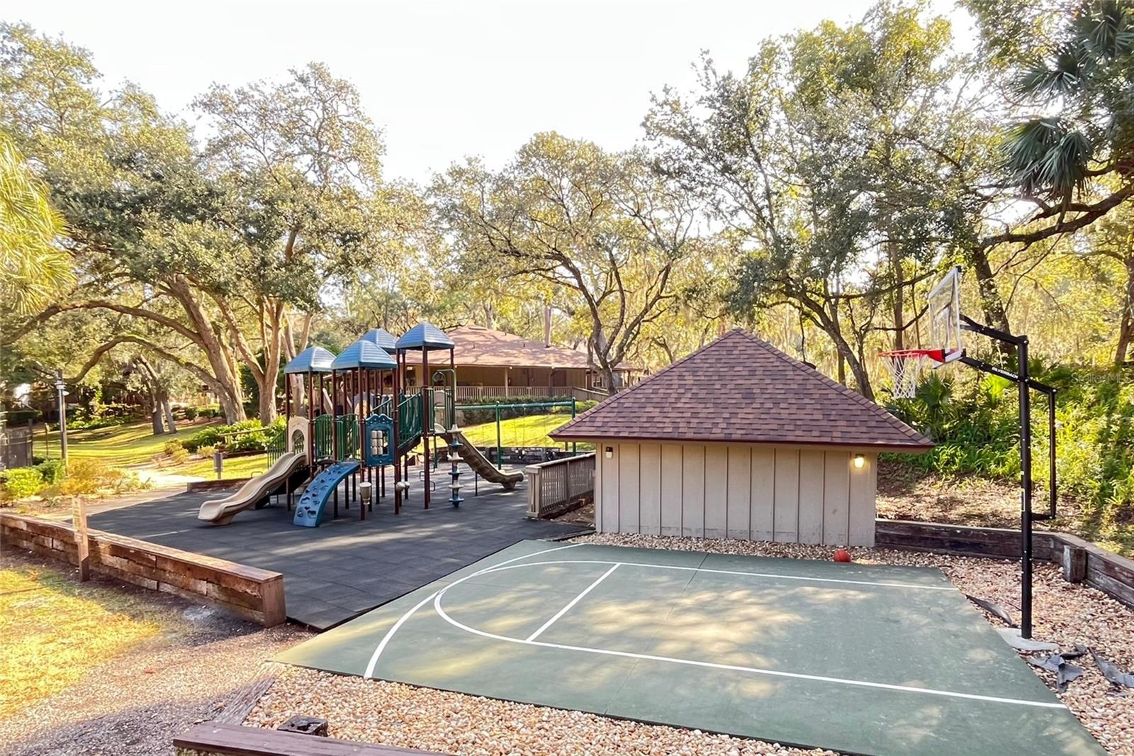 Image 37 of 47 For 431 Secluded Oaks Trail