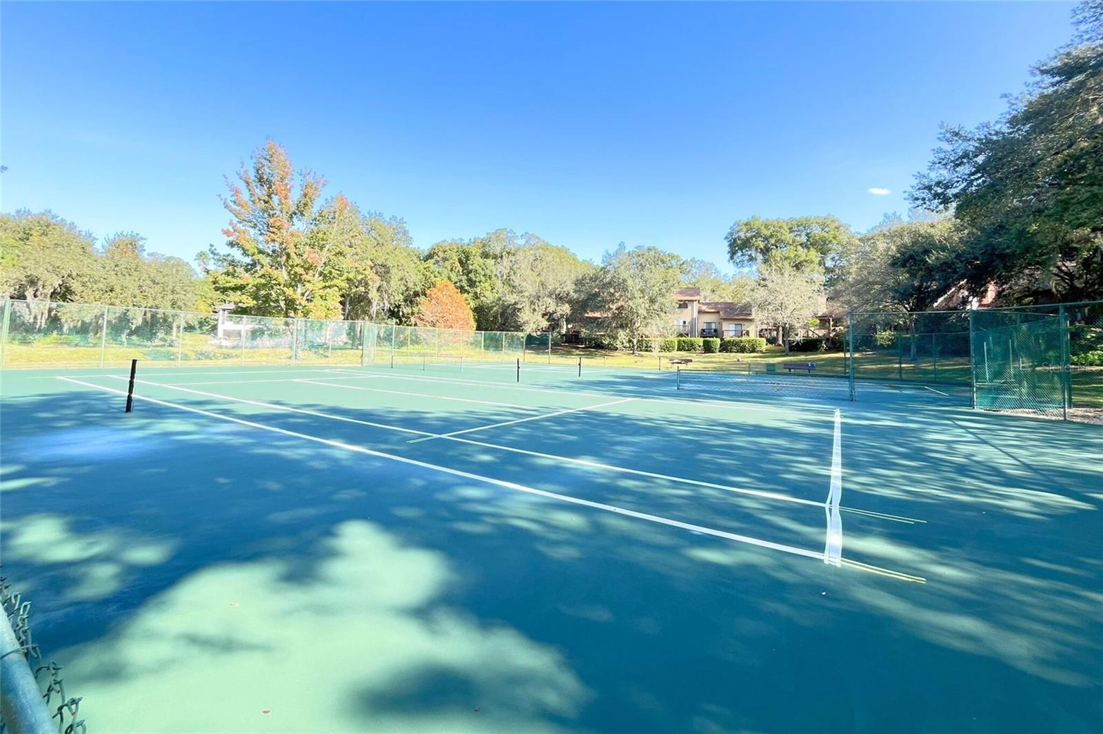 Image 39 of 47 For 431 Secluded Oaks Trail