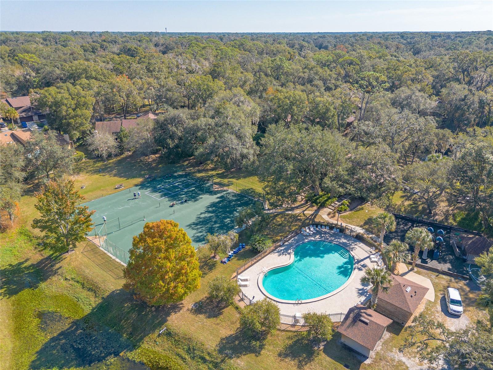 Image 41 of 47 For 431 Secluded Oaks Trail