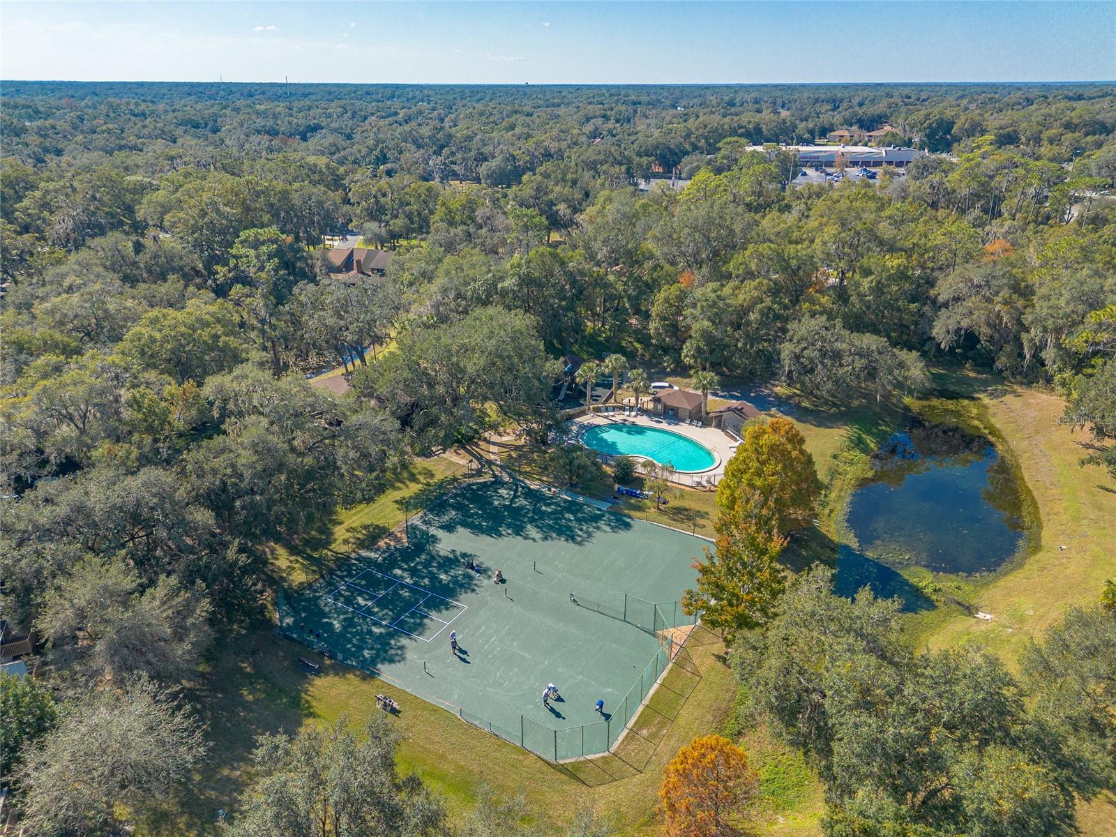 Image 42 of 47 For 431 Secluded Oaks Trail