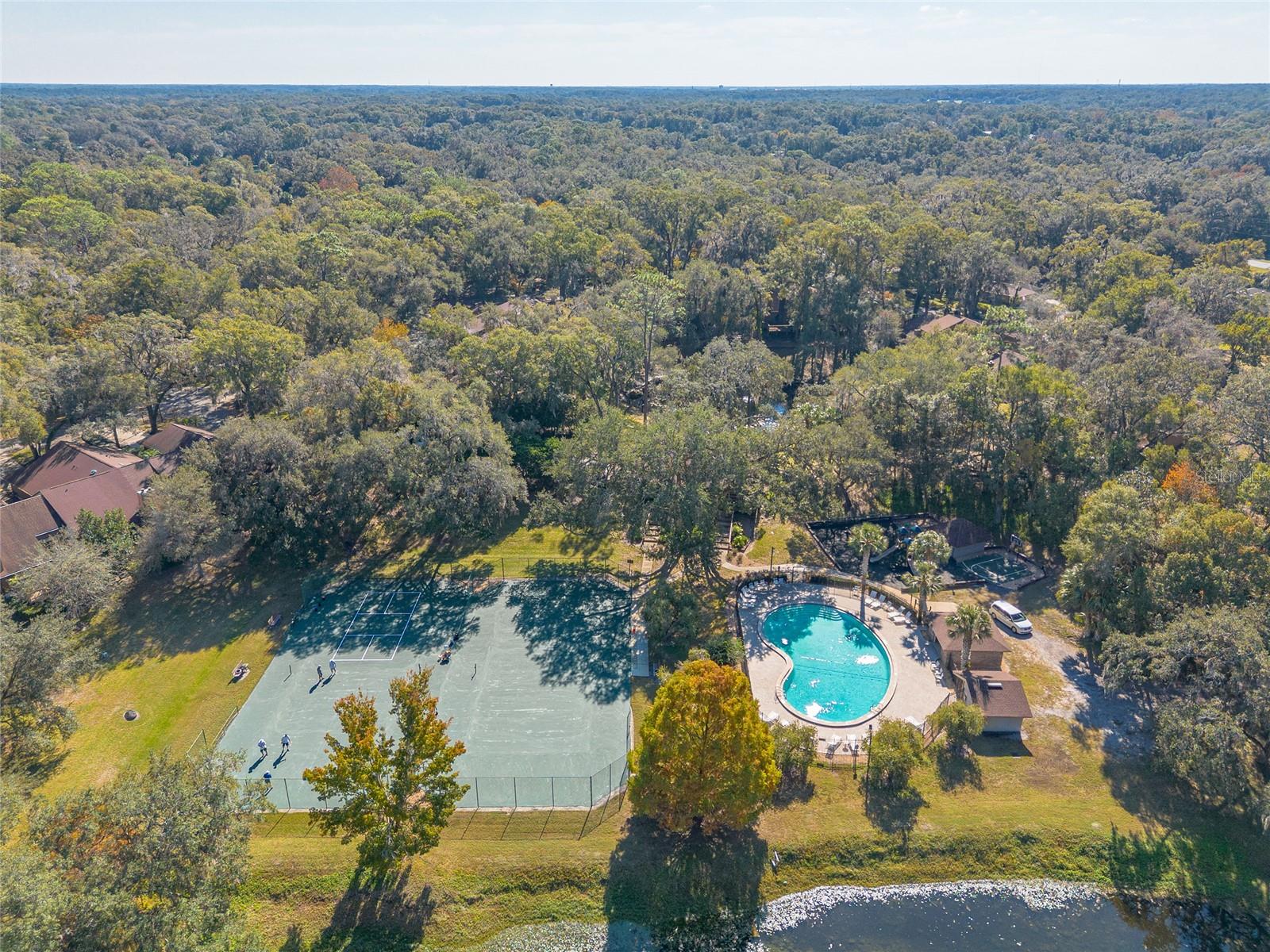 Image 43 of 47 For 431 Secluded Oaks Trail