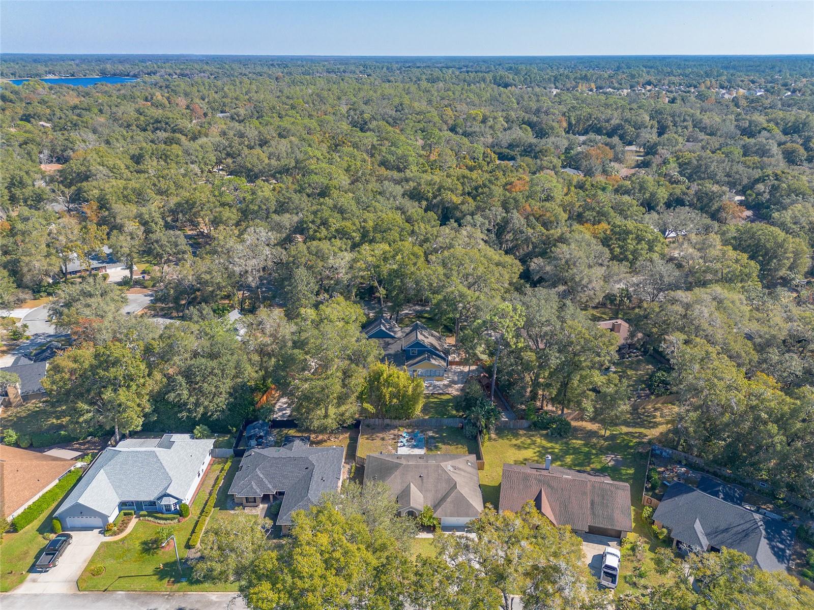 Image 44 of 47 For 431 Secluded Oaks Trail