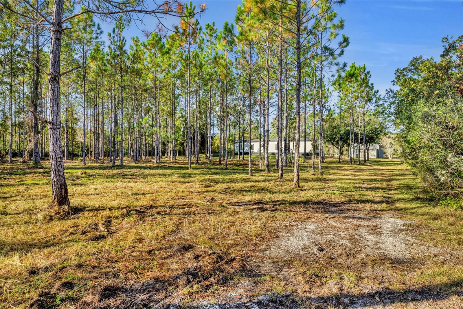 Image 24 of 41 For 6180 Winning Wood Trail