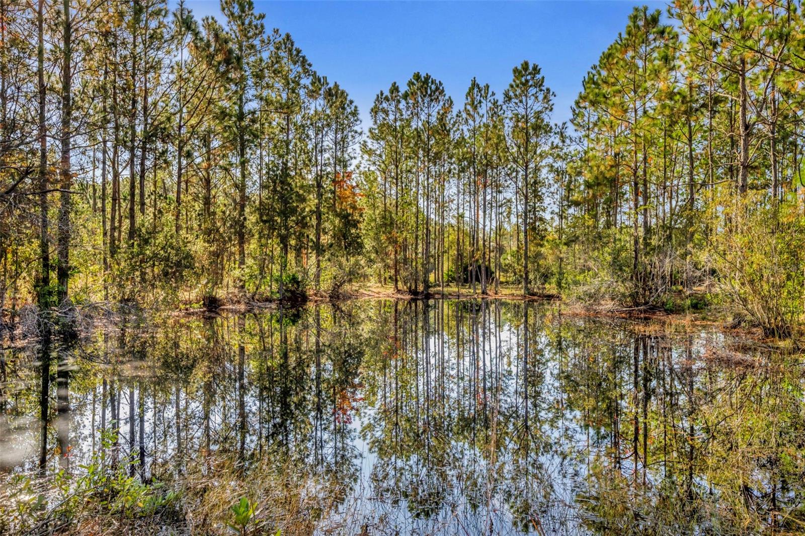 Image 25 of 41 For 6180 Winning Wood Trail