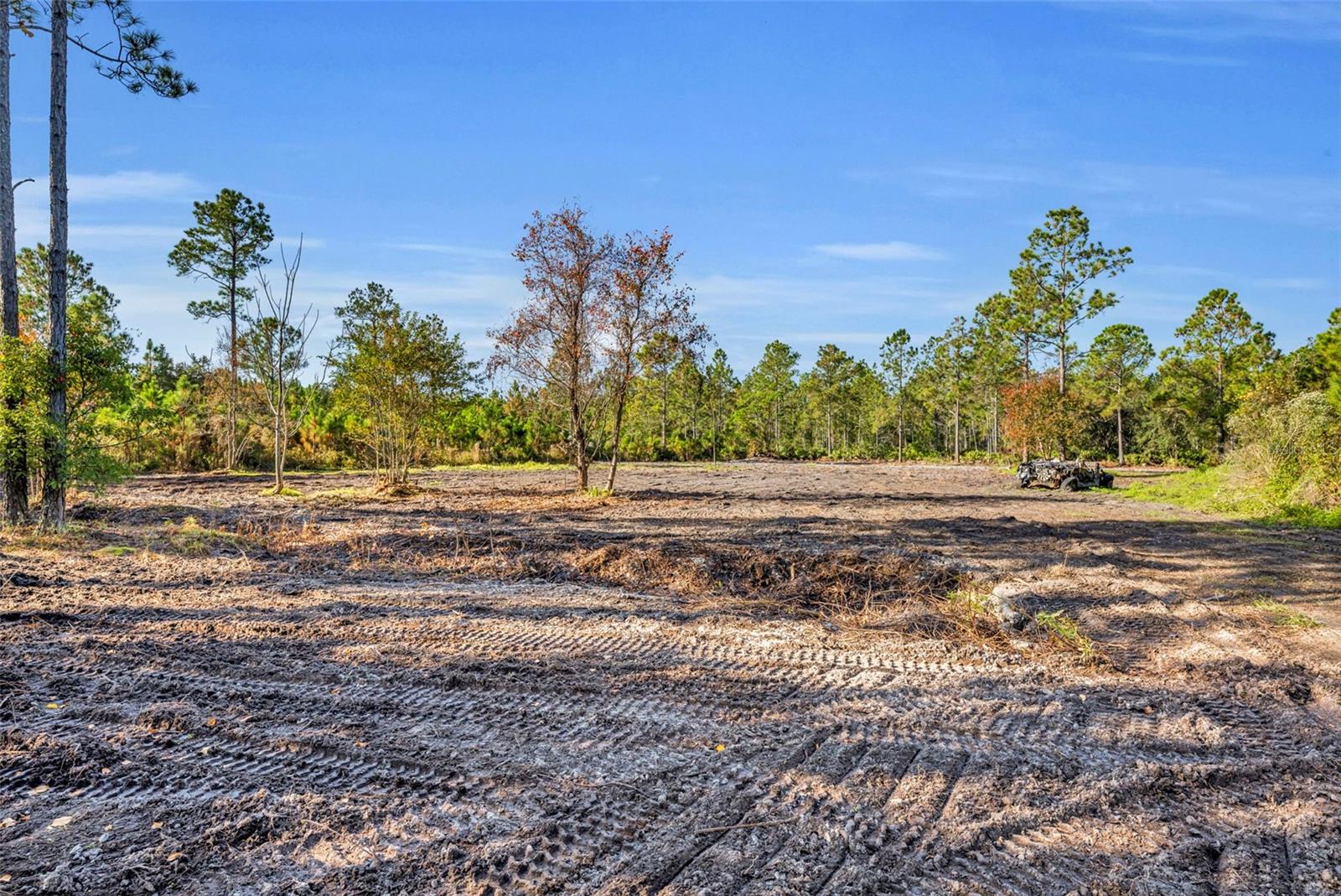 Image 31 of 41 For 6180 Winning Wood Trail