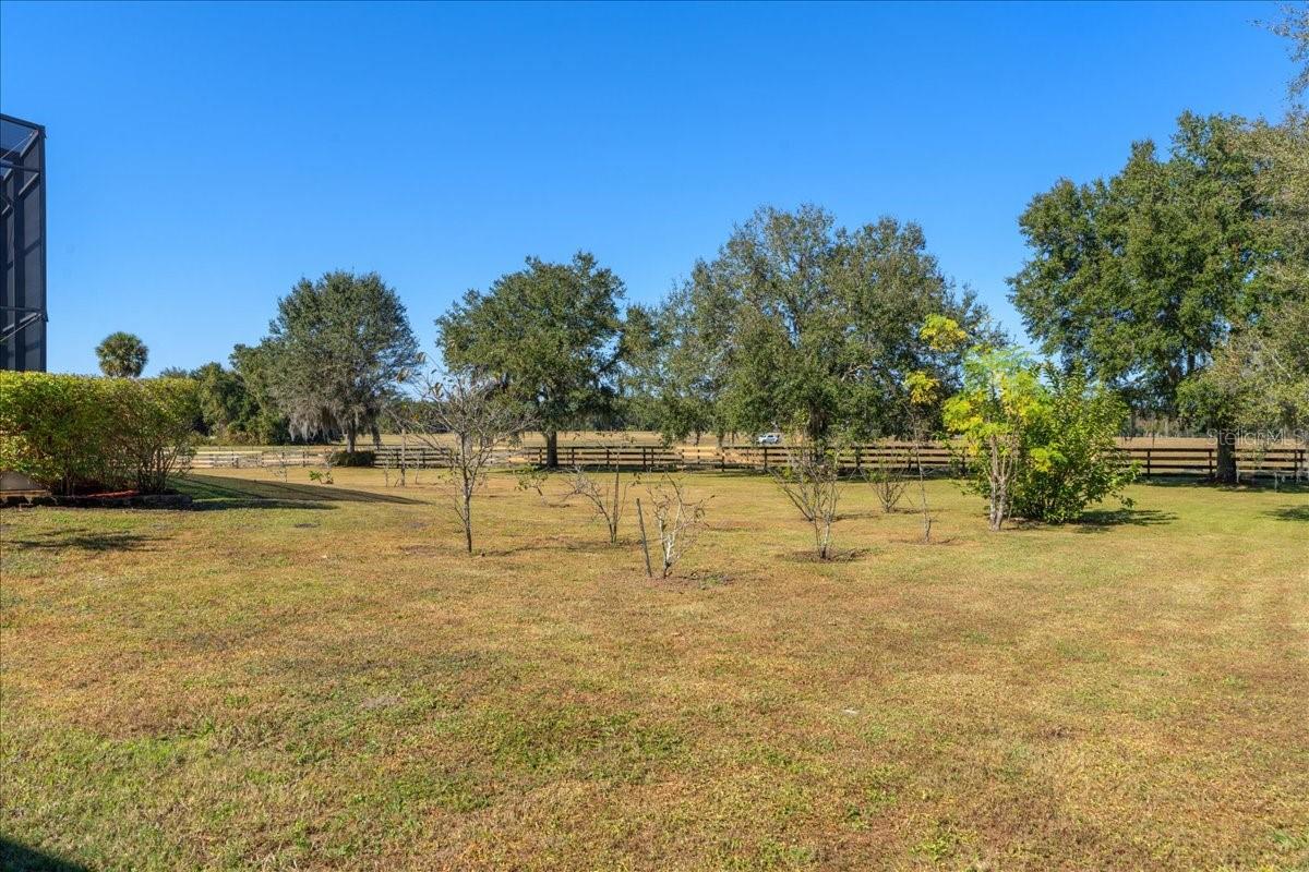 Image 84 of 100 For 4420 Daugharty Road