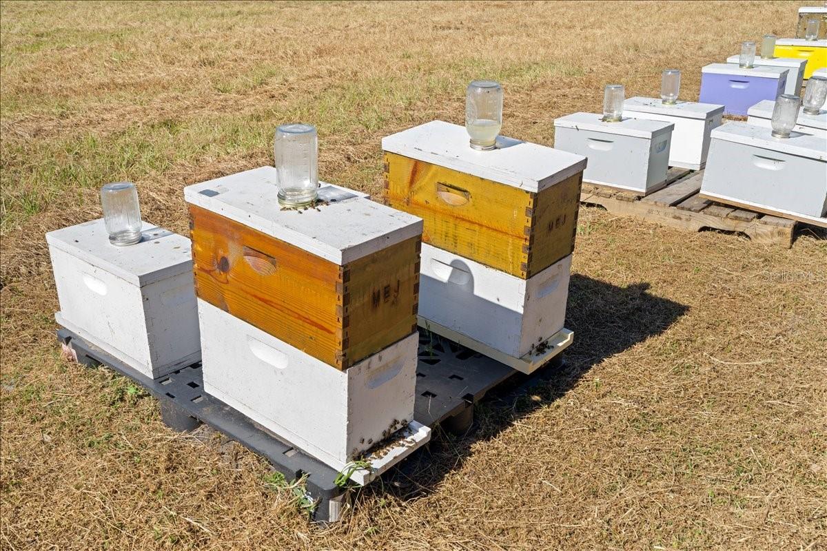 Image 85 of 100 For 4420 Daugharty Road