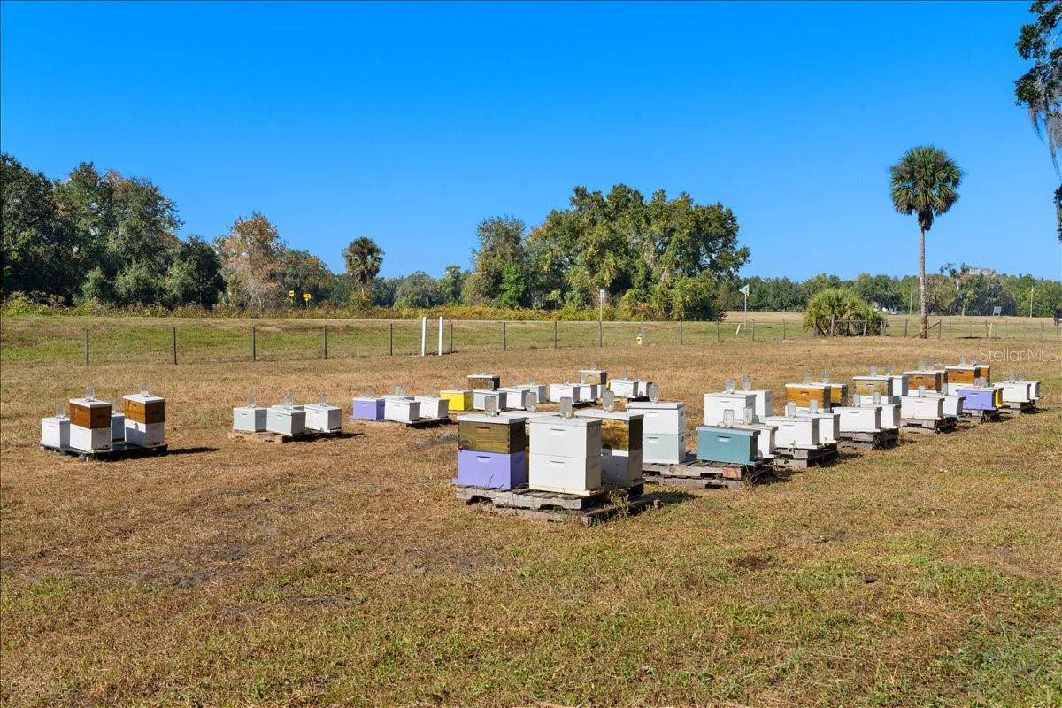 Image 87 of 100 For 4420 Daugharty Road