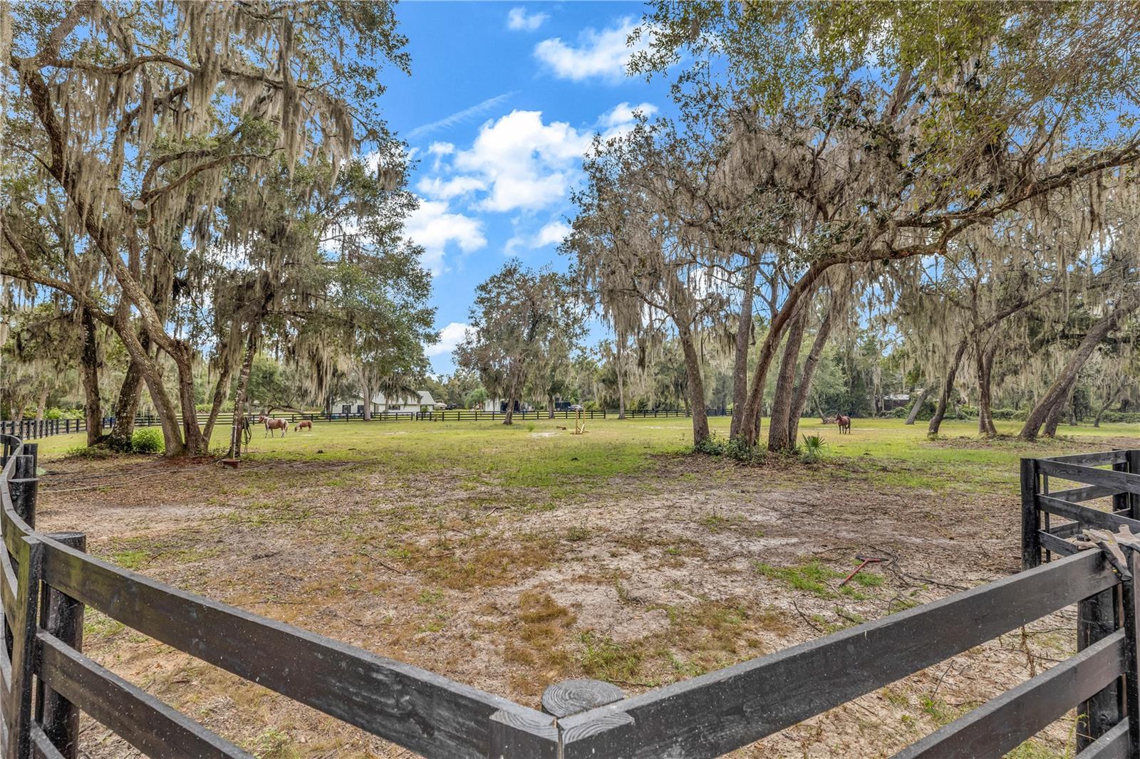 Image 6 of 44 For 209 Oakapple Trail