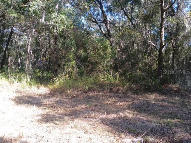 Image 4 of 6 For S Kentucky Avenue