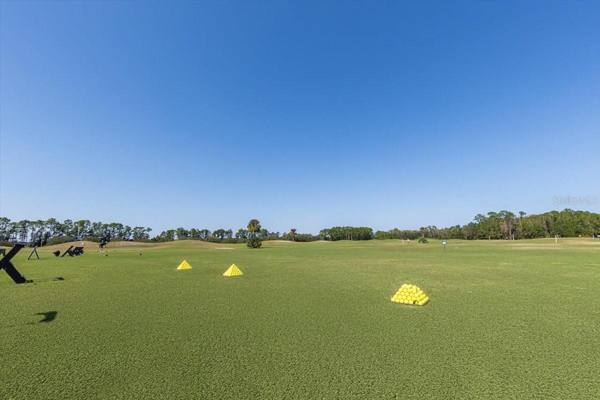 Image 86 of 90 For 568 Luna Bella Lane