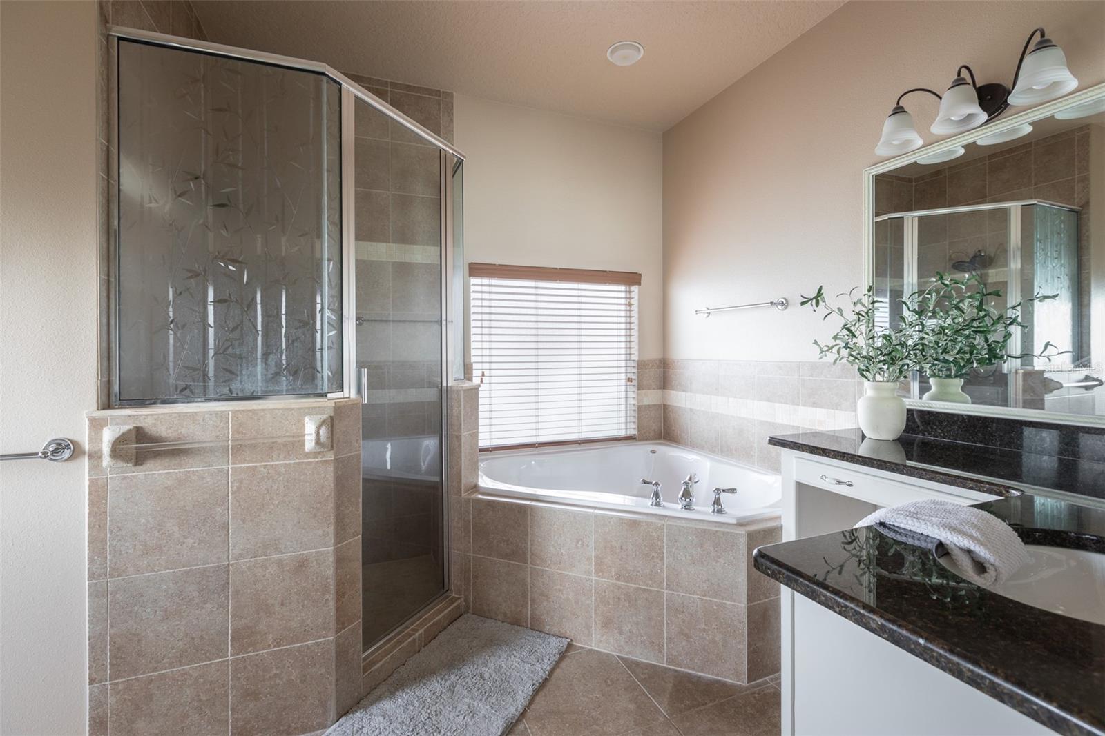 Image 29 of 43 For 313 Crestrun Loop