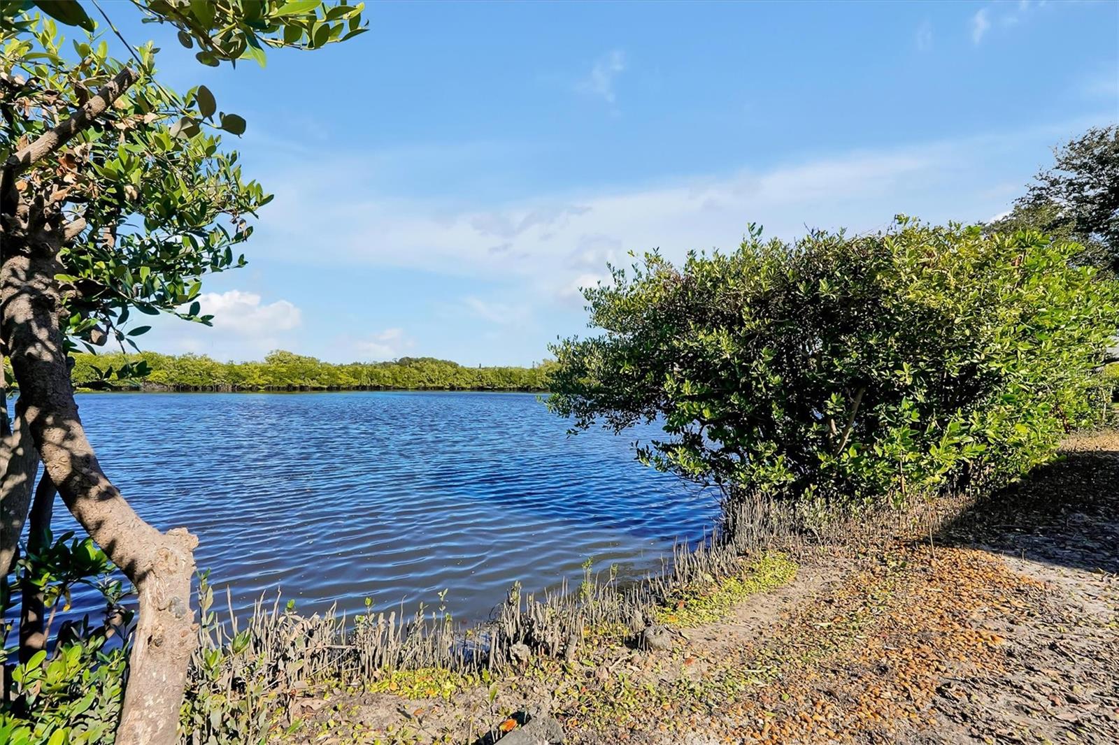 Image 41 of 50 For 141 Cedar Dunes Drive