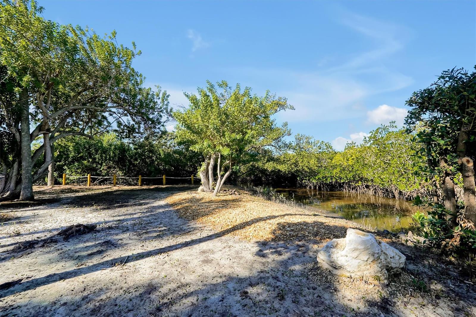 Image 42 of 50 For 141 Cedar Dunes Drive