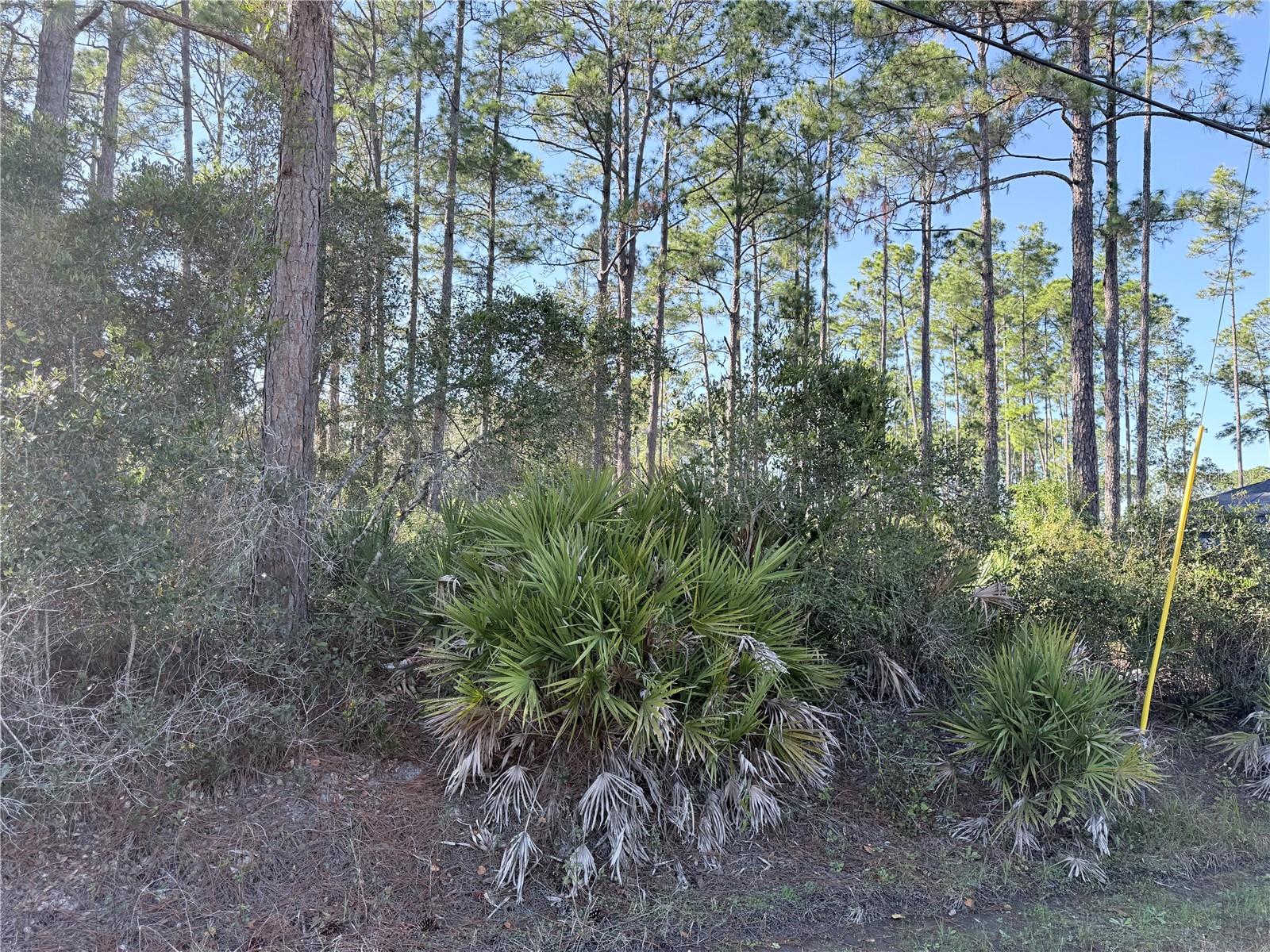 Details for 1720 10th  , DELAND, FL 32724