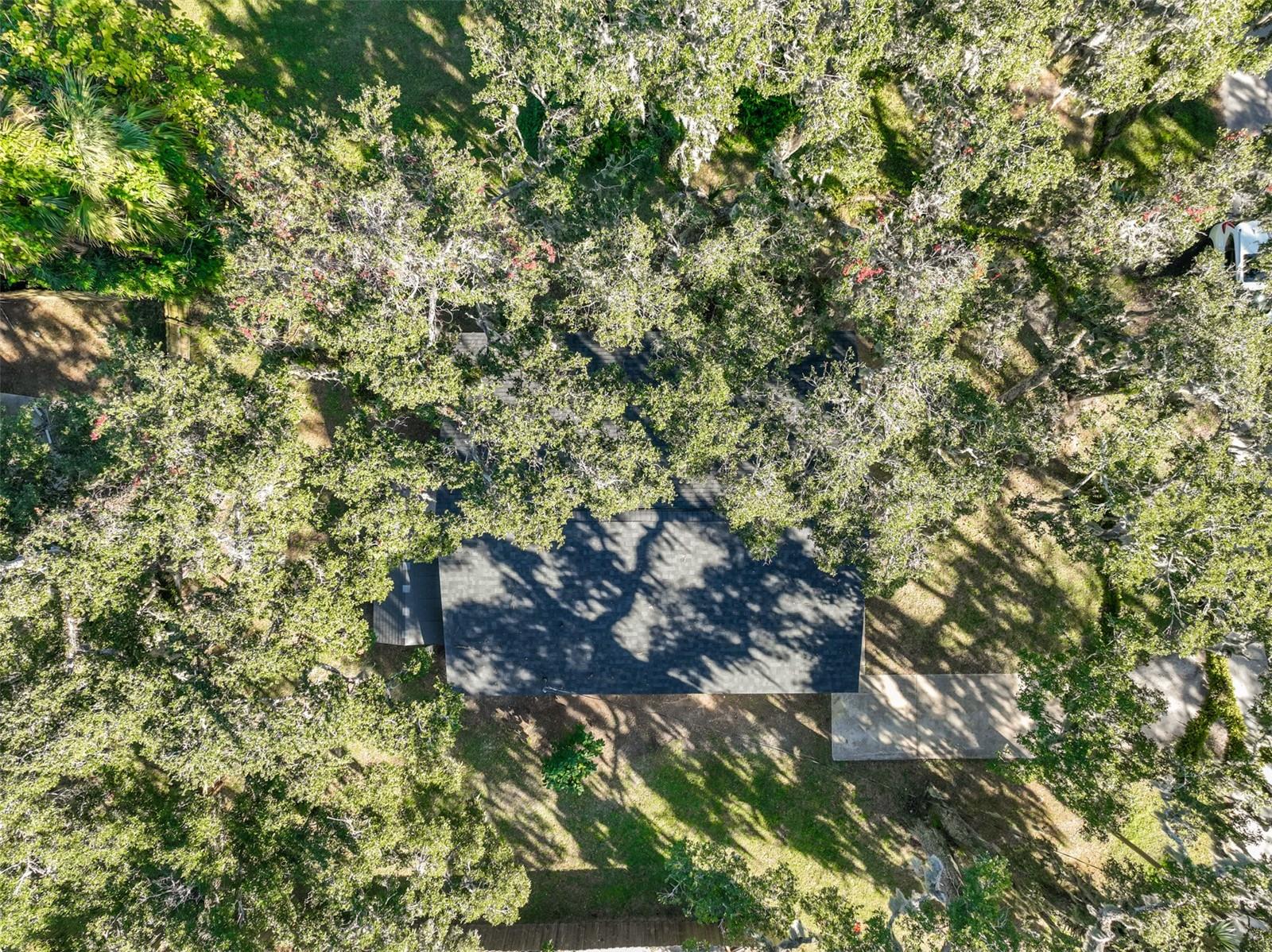 Image 30 of 32 For 145 Oak Ridge Avenue