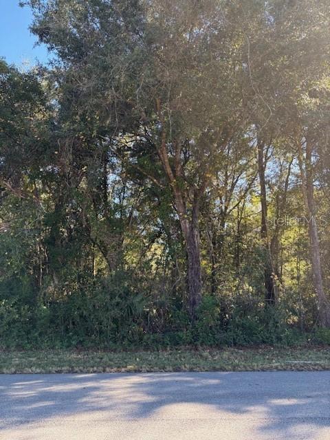 Image 2 of 6 For 331 Ridgewood Avenue