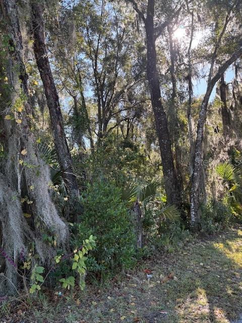 Image 4 of 6 For 331 Ridgewood Avenue