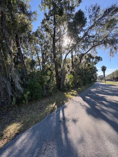 Image 5 of 6 For 331 Ridgewood Avenue