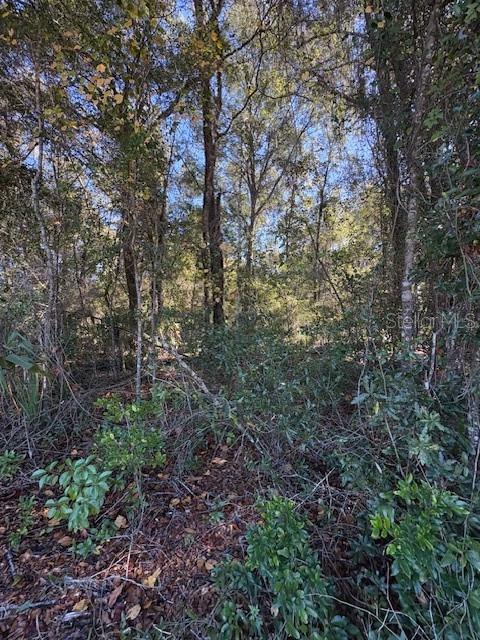 Image 3 of 6 For 345 S Ridgewood Avenue