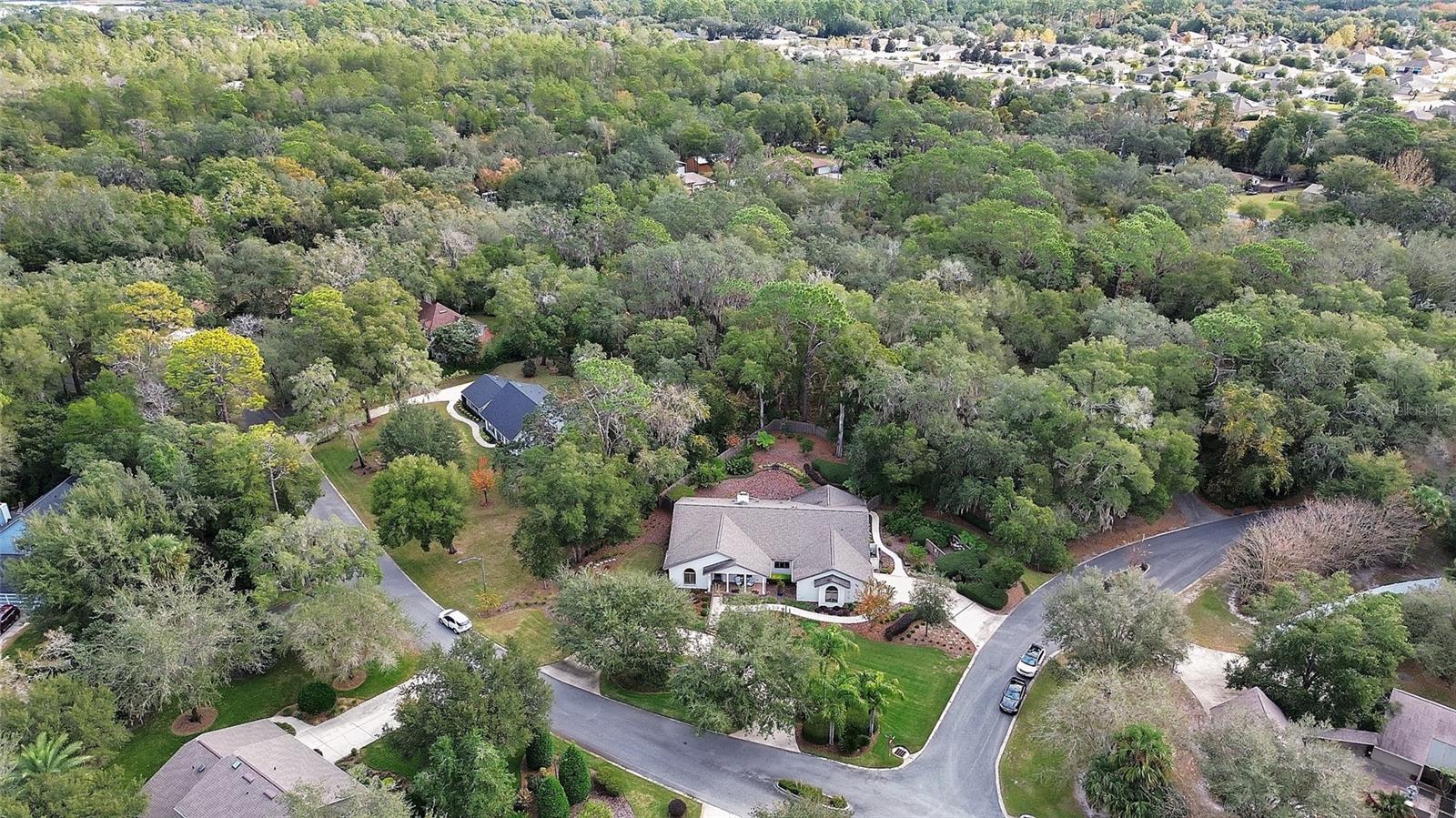 Image 71 of 78 For 246 Crooked Tree Trail