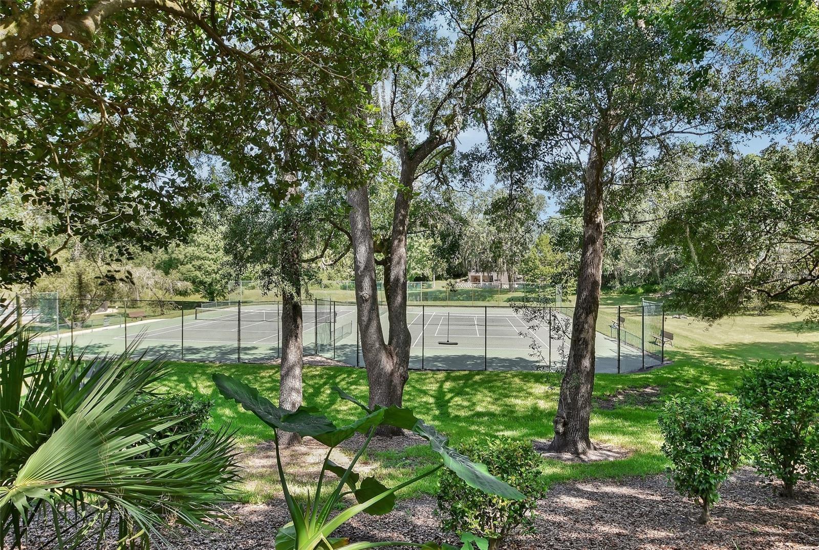 Image 78 of 78 For 246 Crooked Tree Trail