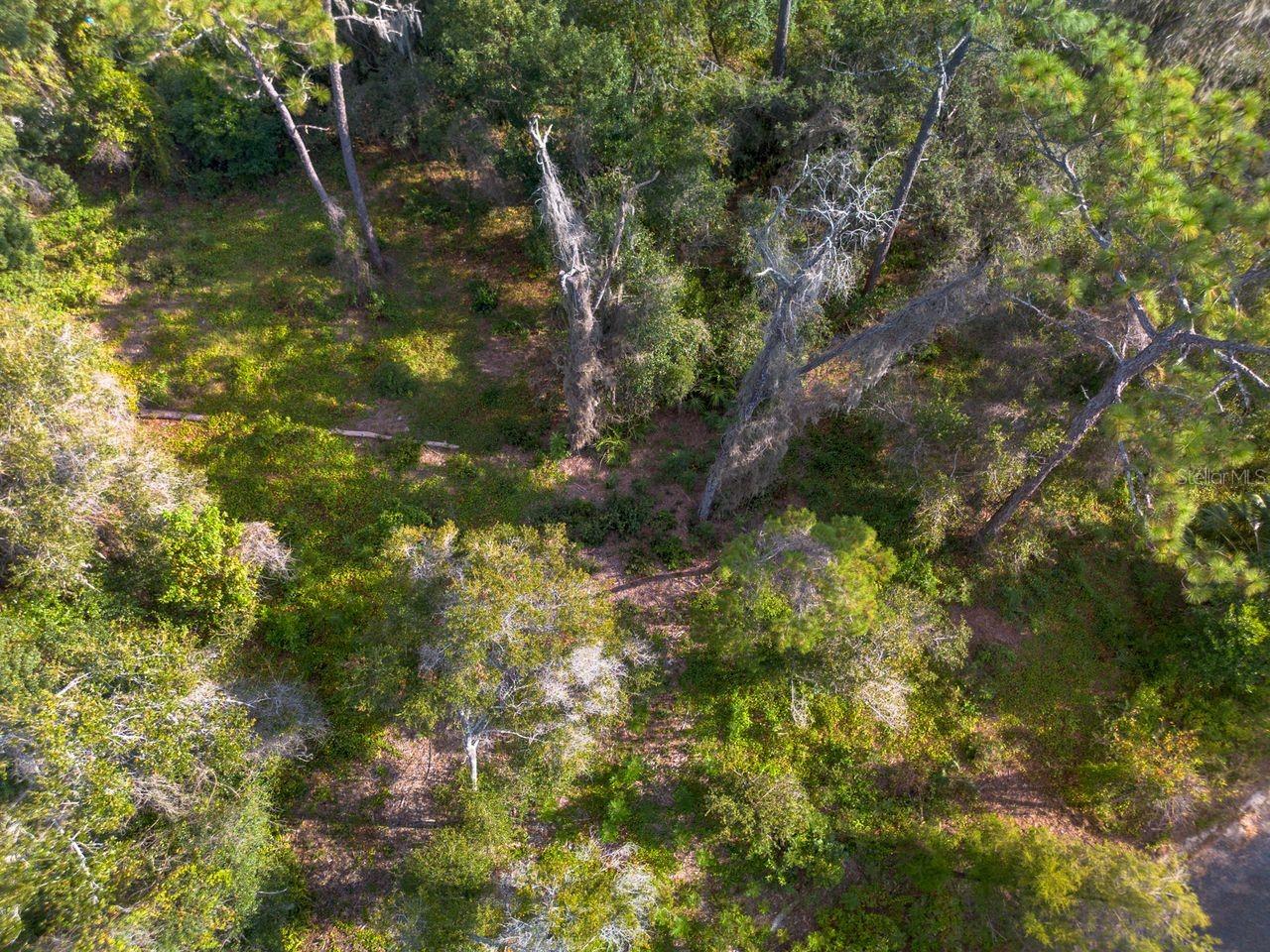 Image 10 of 13 For 615 Lake Butler Avenue