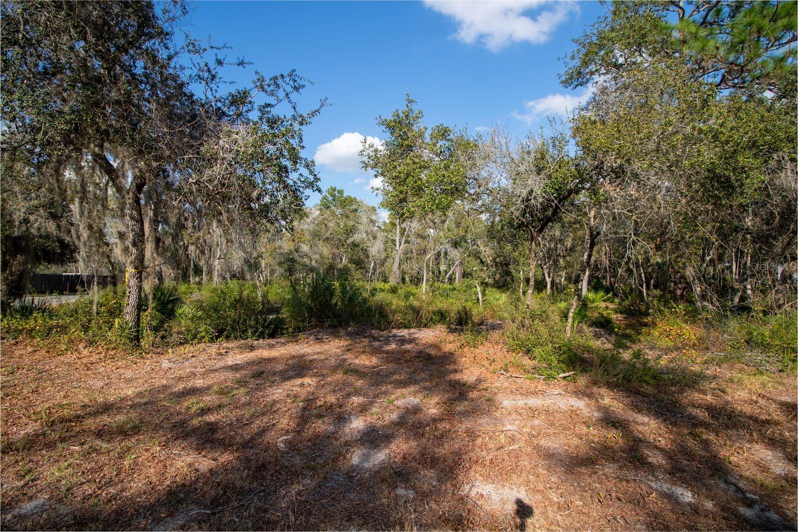 Image 8 of 13 For 615 Lake Butler Avenue