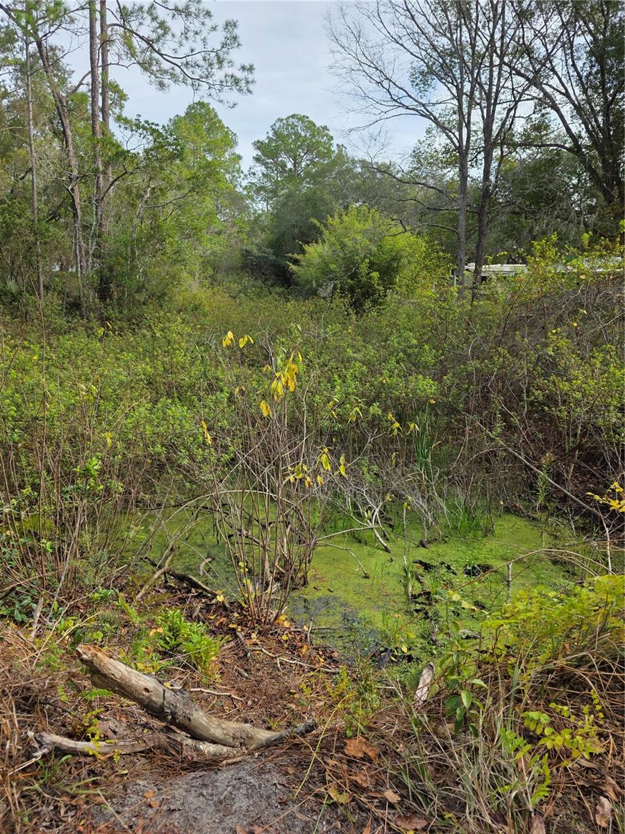 Image 2 of 4 For  Akron Drive 