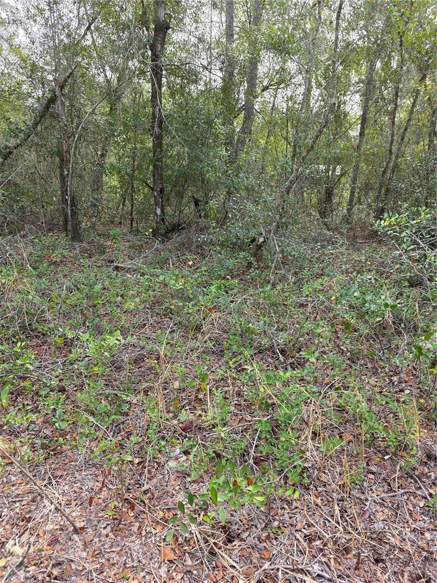 Image 4 of 4 For  Akron Drive 