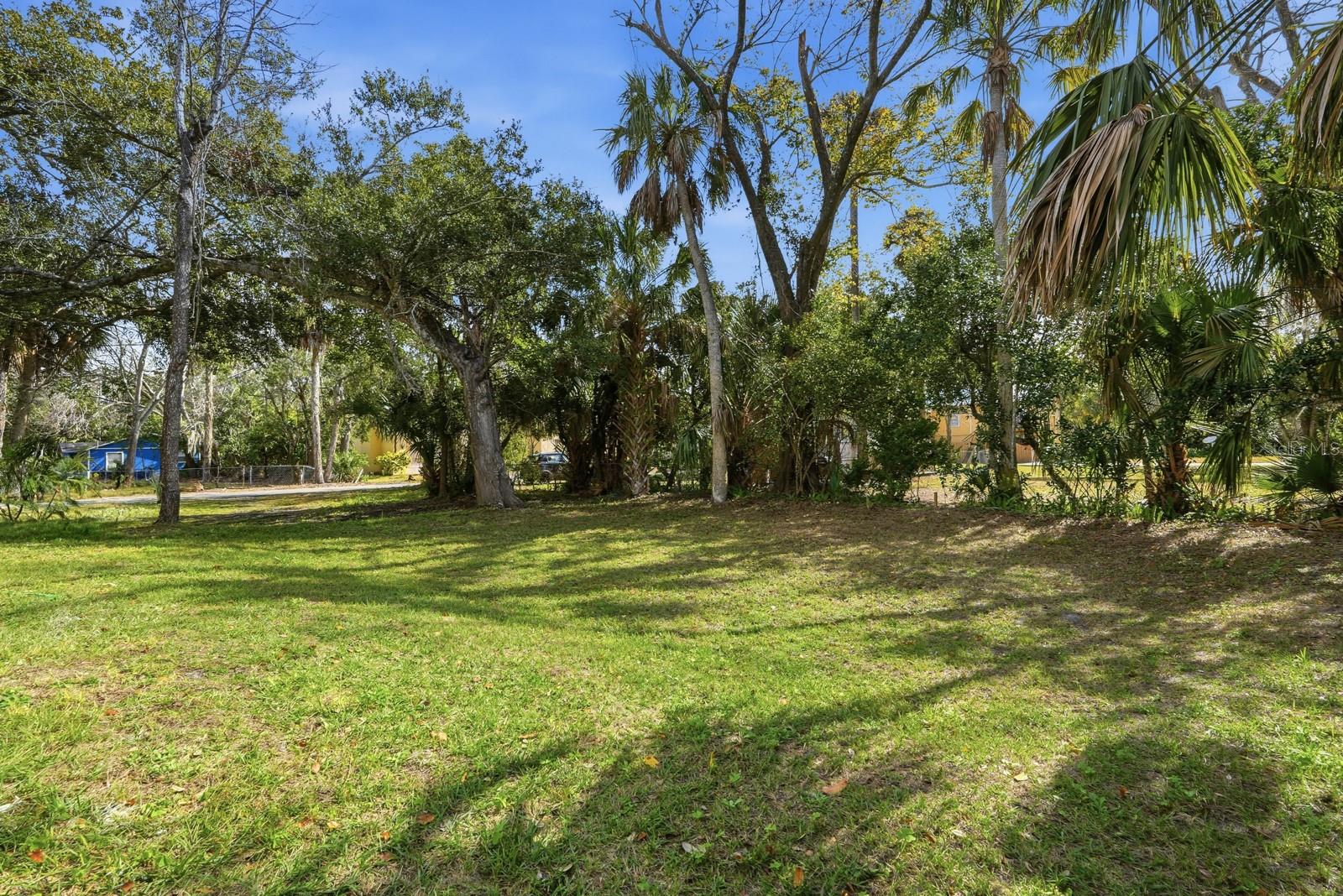 Image 23 of 33 For 557 Live Oak Avenue