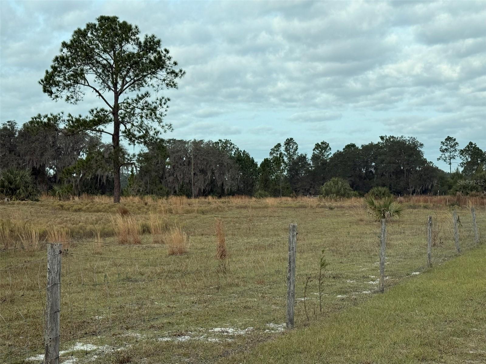 Image 17 of 37 For 29605 Fullerville Road