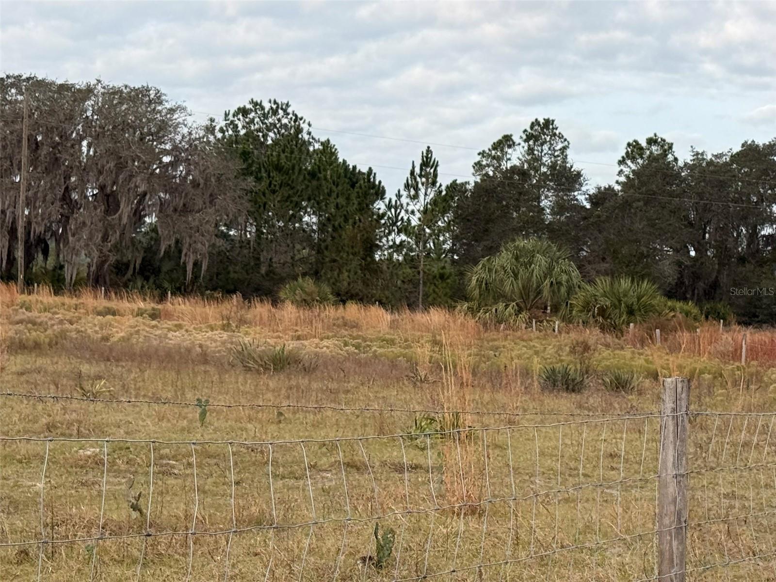 Image 19 of 37 For 29605 Fullerville Road