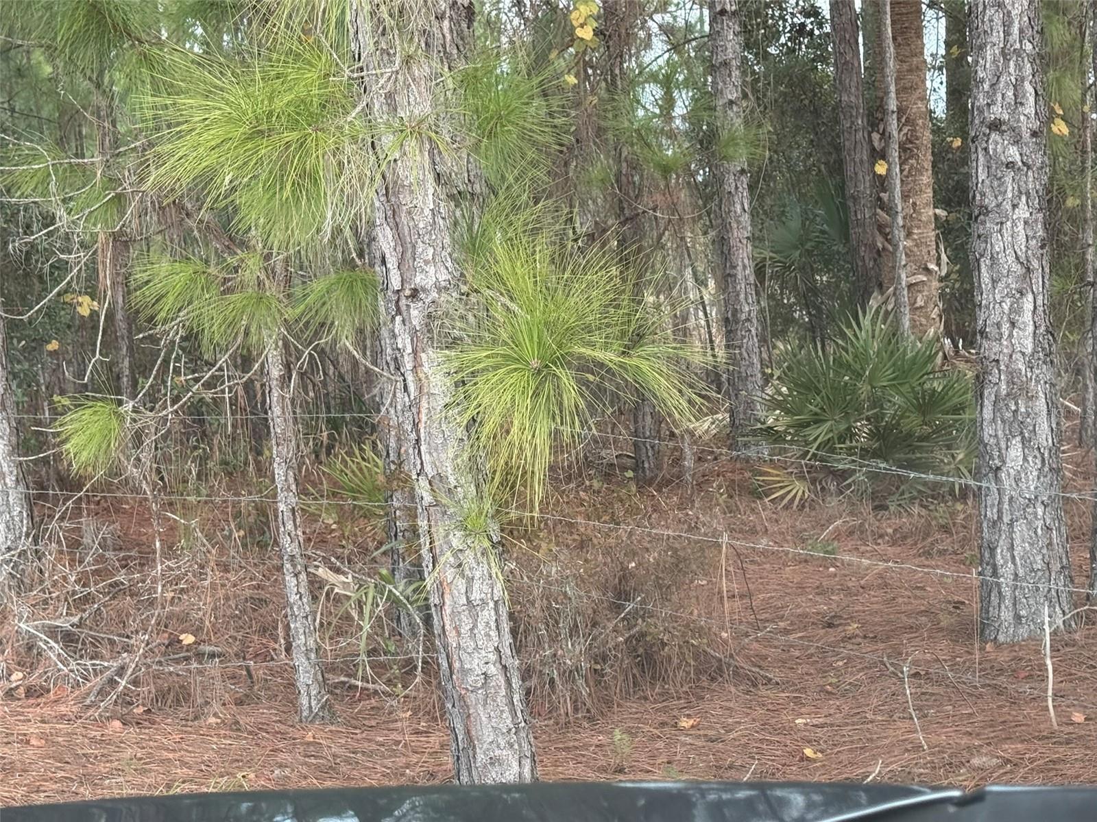 Image 21 of 37 For 29605 Fullerville Road