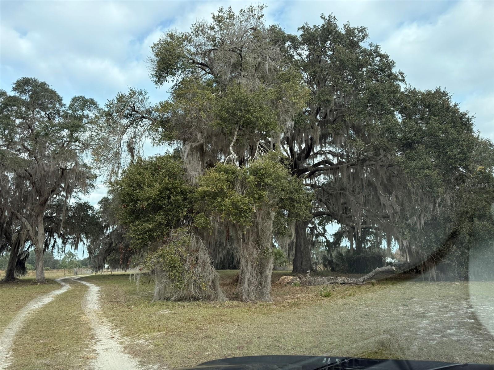 Image 3 of 37 For 29605 Fullerville Road