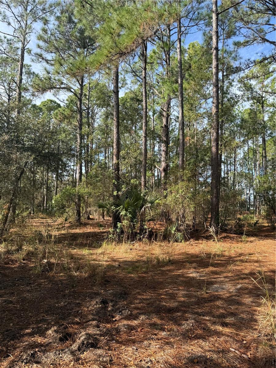 Image 2 of 26 For  Cr-450  