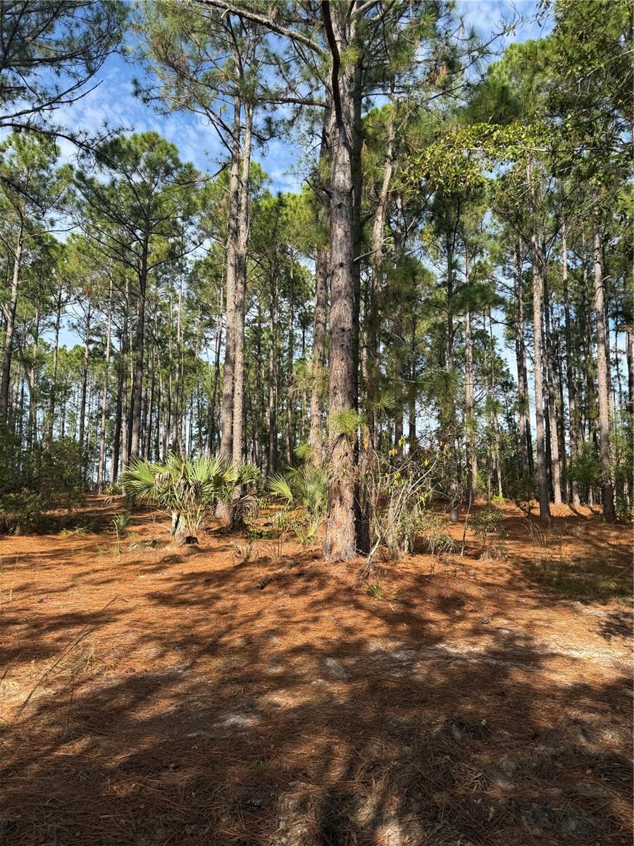 Image 3 of 26 For  Cr-450  