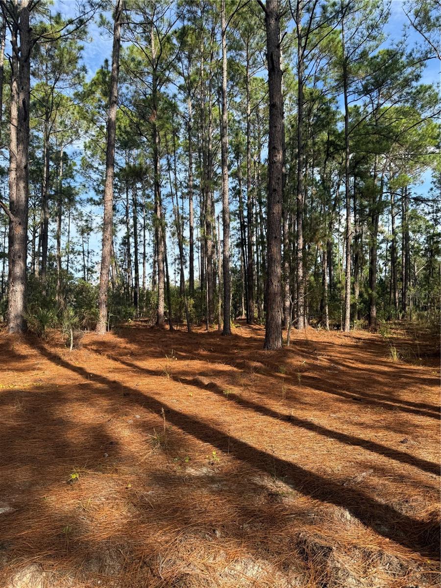 Image 4 of 26 For  Cr-450  