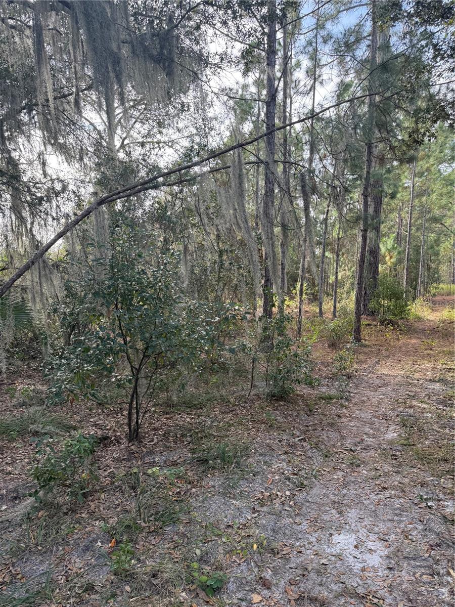 Image 5 of 26 For  Cr-450  